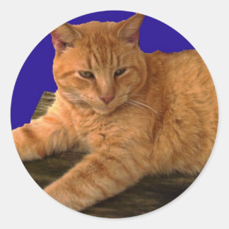 Katze 8, Aufkleber