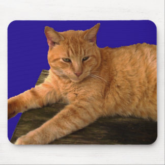 Katze 8, Mausunterlage Mousepad