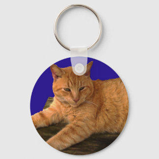 Katze 8, Schlüsselkette Schlüsselanhänger