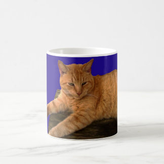 Katze 8, Tasse