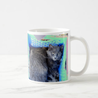 Katze 9, mein Versteck, Tasse