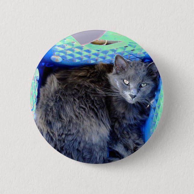 Katze 9, Schaltfläche Button (Vorderseite)