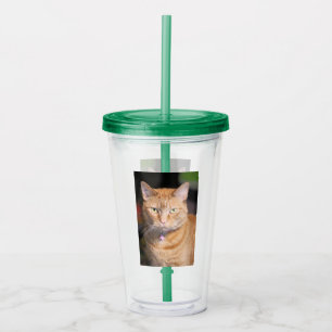 Katze Acryltrinkbecher