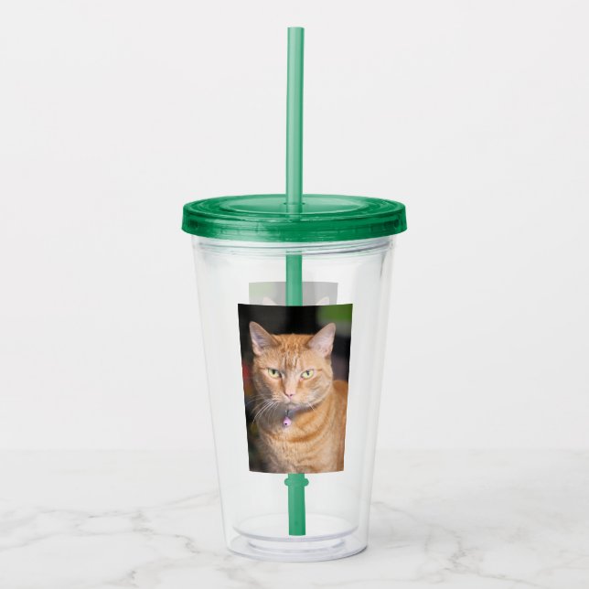 Katze Acryltrinkbecher (Vorderseite)