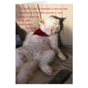 Katze als Axl Rose auf Monogamy: