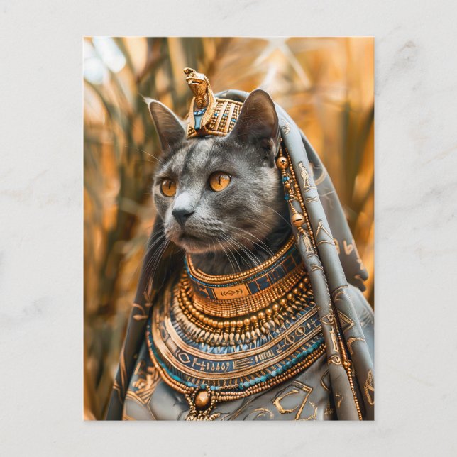 Katze als Pharaoh Queen verkleidet Postkarte (Vorderseite)