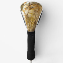 Katze Altes Wiking.