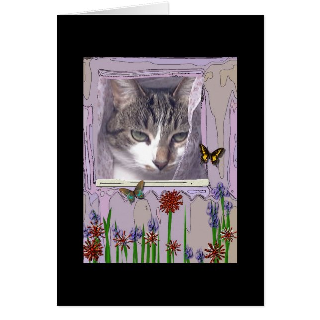 Katze am Fenster (Vorne)