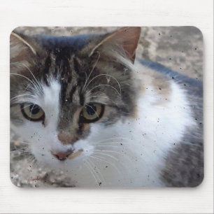 Katze am Fenster Mousepad