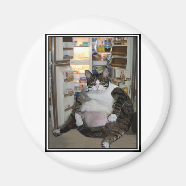 KATZE AM KÜHLSCHRANK MAGNET (Vorne)