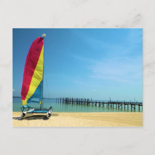 Katze am Meer - Segeln Postkarte