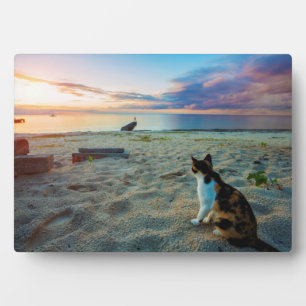 Katze am Strand Fotoplatte