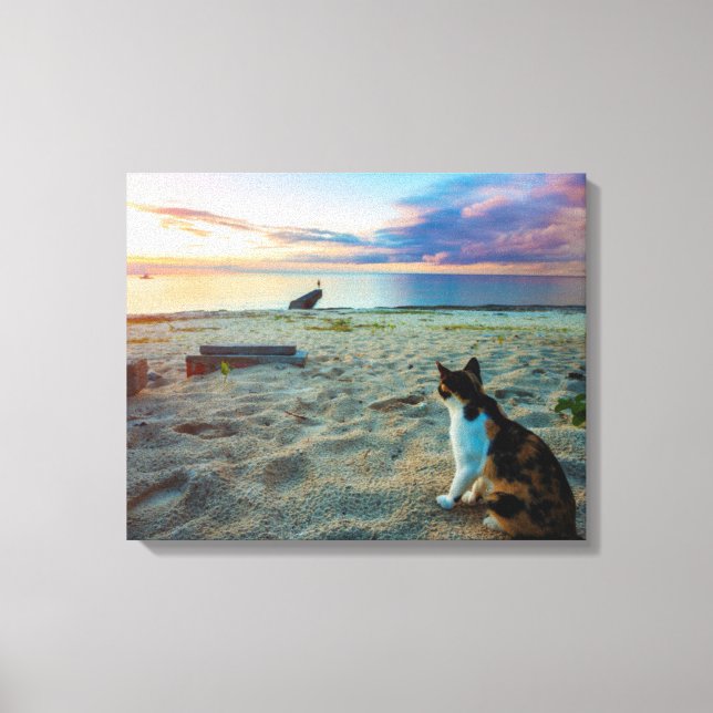 Katze am Strand Leinwanddruck (Vorderseite)