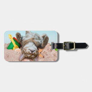 Katze am Strand und blauer Himmel Gepäckanhänger