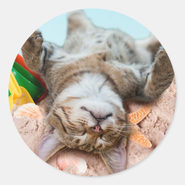 Katze am Strand und blauer Himmel Runder Aufkleber (Vorderseite)