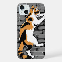 Katze an der Wand