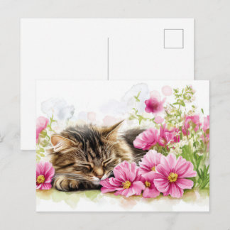 Katze Aquarell Postkarte
