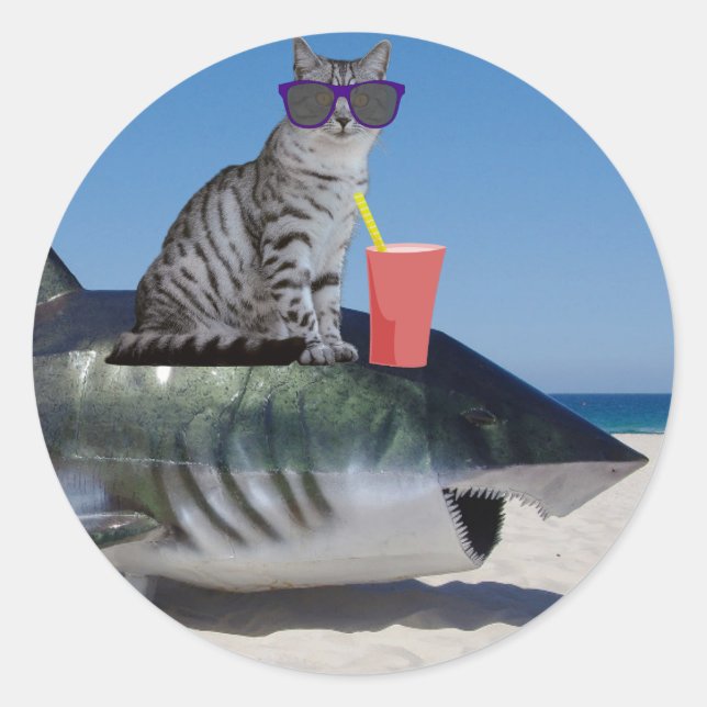 KATZE AUF BEACH SHARK RUNDER AUFKLEBER (Vorderseite)
