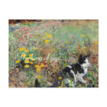 Katze auf Blumenbeet