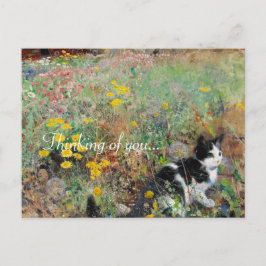 Katze auf Blumenbeet Postkarte