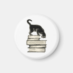 Katze auf Büchern Magnet