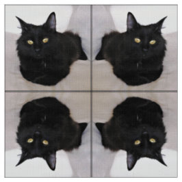 Katze auf Couch Stoff