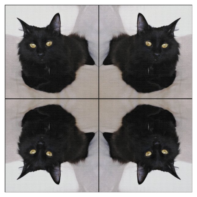 Katze auf Couch Stoff (Muster)