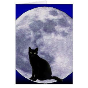 Katze auf dem Mond_