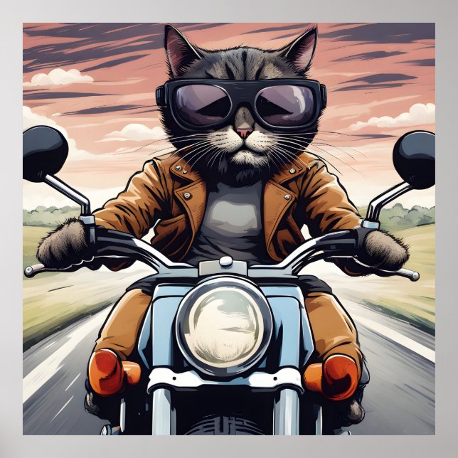 Katze auf dem Motorrad Poster (Vorne)