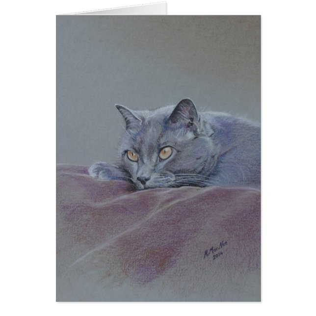 Katze auf der Decke, gerade entspannend, schöne (Vorne)