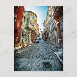 Katze auf der Straße von Istanbul Postkarte