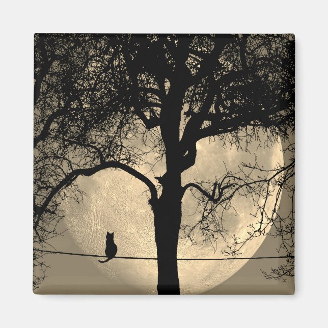 Katze auf einem Draht Vollmond Magnet (Vorne)