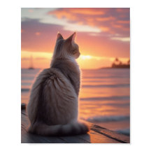 Katze auf einem Pier mit Sonnenuntergang und ozean