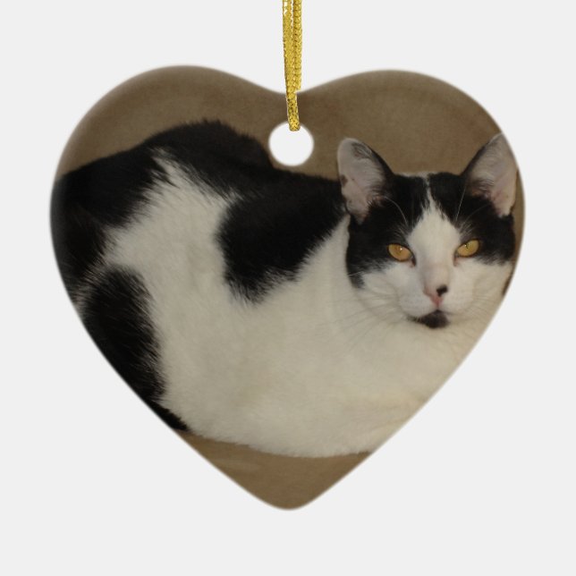 Katze auf einem Sofa Keramikornament (Vorne)