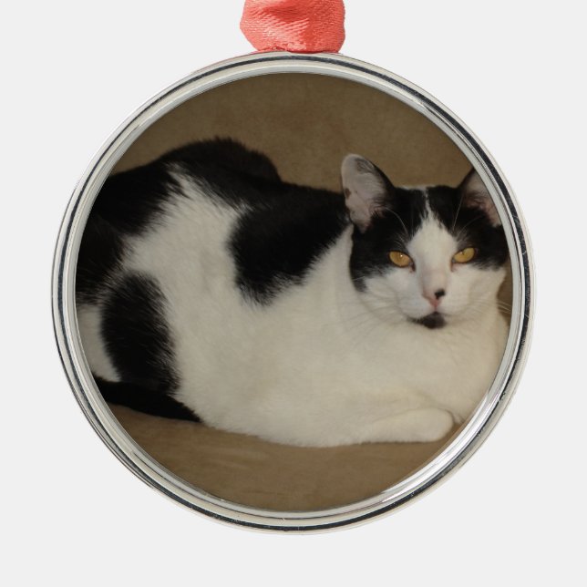 Katze auf einem Sofa Ornament Aus Metall (Vorne)