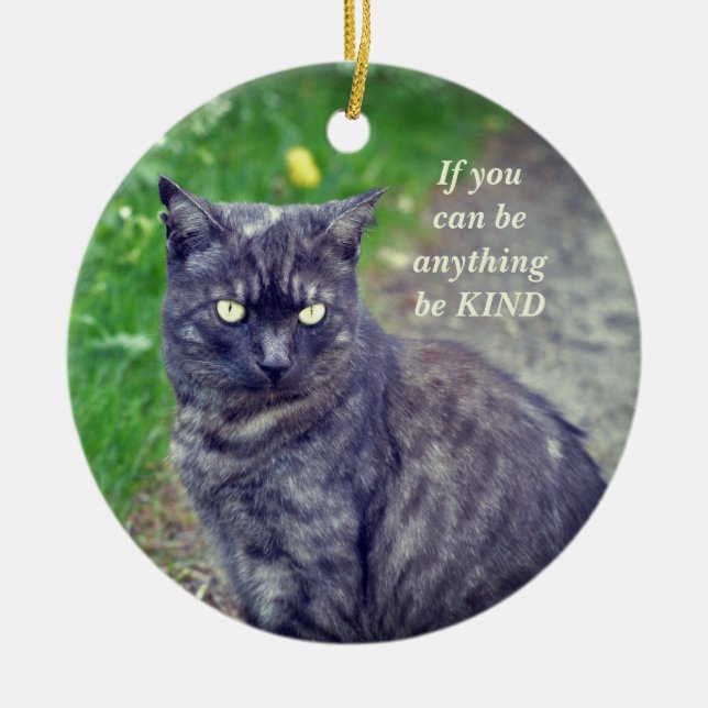 Katze auf einem Spaziergang Motivierend Keramik Ornament (Vorne)