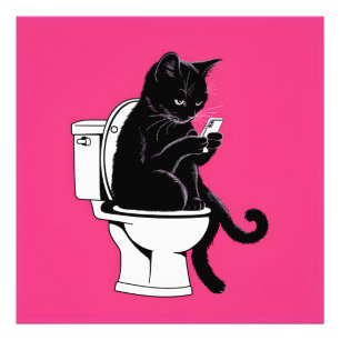 Katze auf einer Toilette Fotodruck