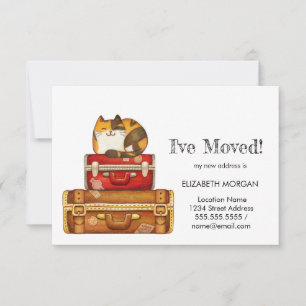 Katze auf Koffern, die ich bewegt habe Ankündigung