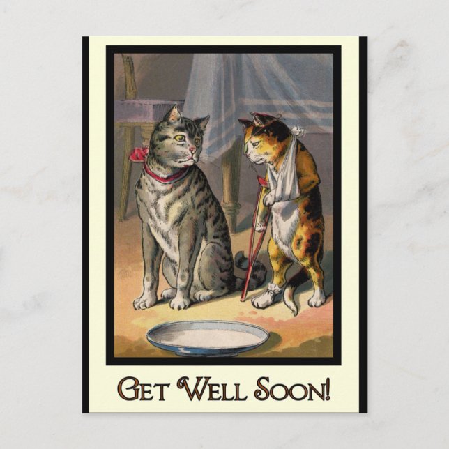 Katze auf Krücken Postkarte (Vorderseite)