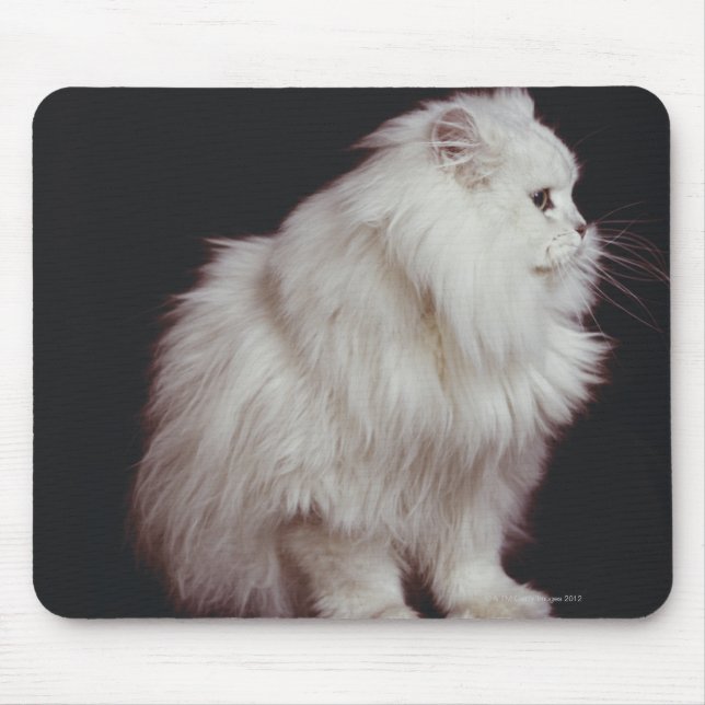 Katze auf schwarzem Hintergrund, nah-up Mousepad (Vorne)
