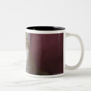 Katze auf Sofa Zweifarbige Tasse