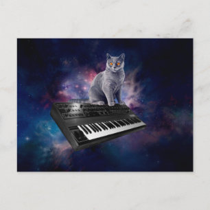 Katze auf Synthesizer im Weltraum Postkarte