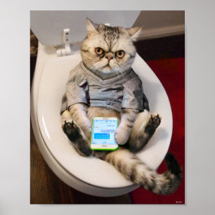Katze auf Toilette Poster