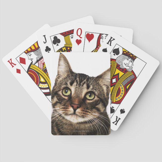 Katze auf weißem Hintergrund 2 Spielkarten (Rückseite)
