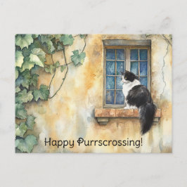 Katze auf Windows Postkreuz - Postkarte