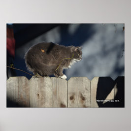 Katze auf Zaun (12) Plakat