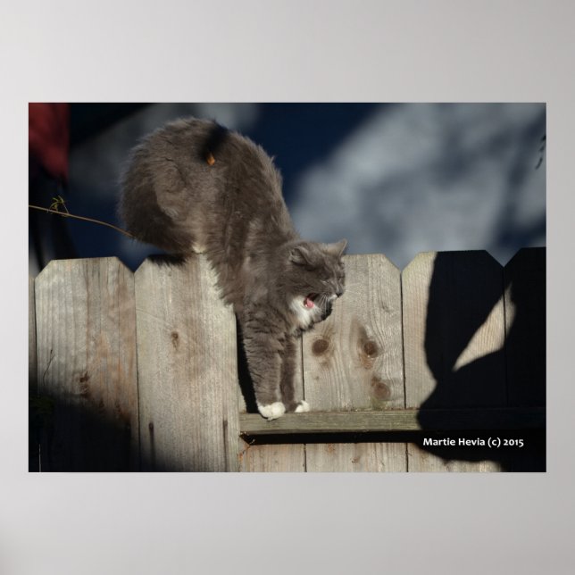 Katze auf Zaun (7) Plakat (Vorne)