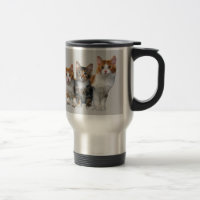 Katze außerhalb der Kasten-Tasse