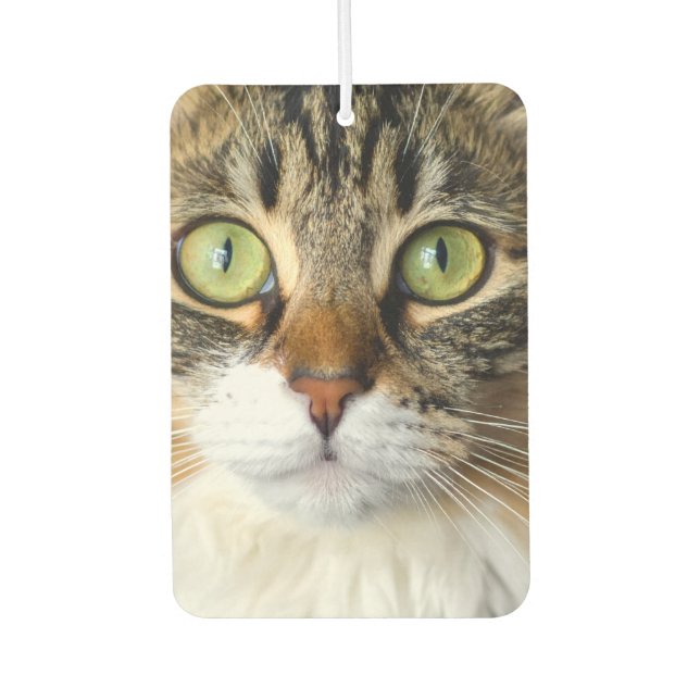 Katze Autolufterfrischer (Vorderseite)