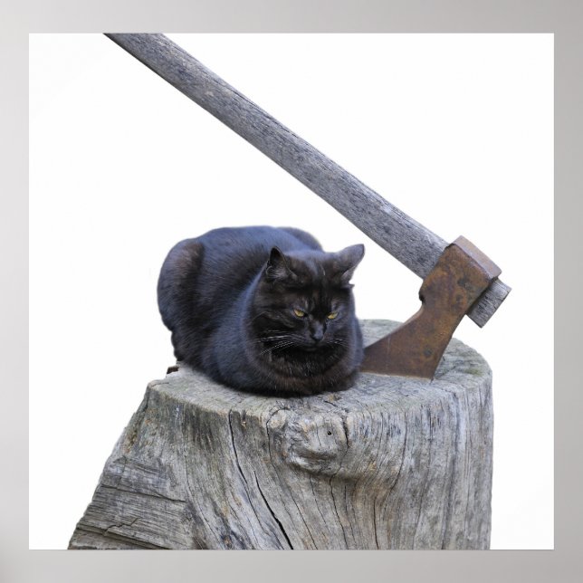 Katze, Axt und Leben Poster (Vorne)